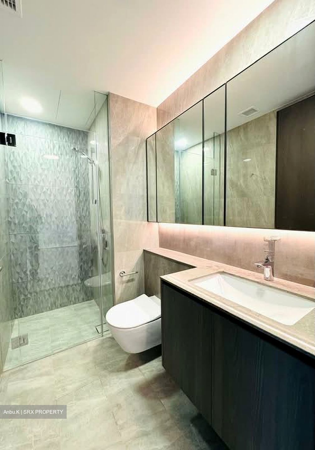 Piccadilly Grand (D8), Apartment #554782141